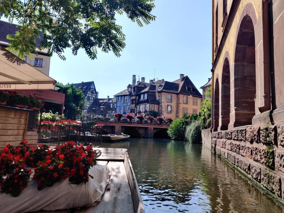 Au Kugelhopf Dore - Centre Historique Colmar Ngoại thất bức ảnh