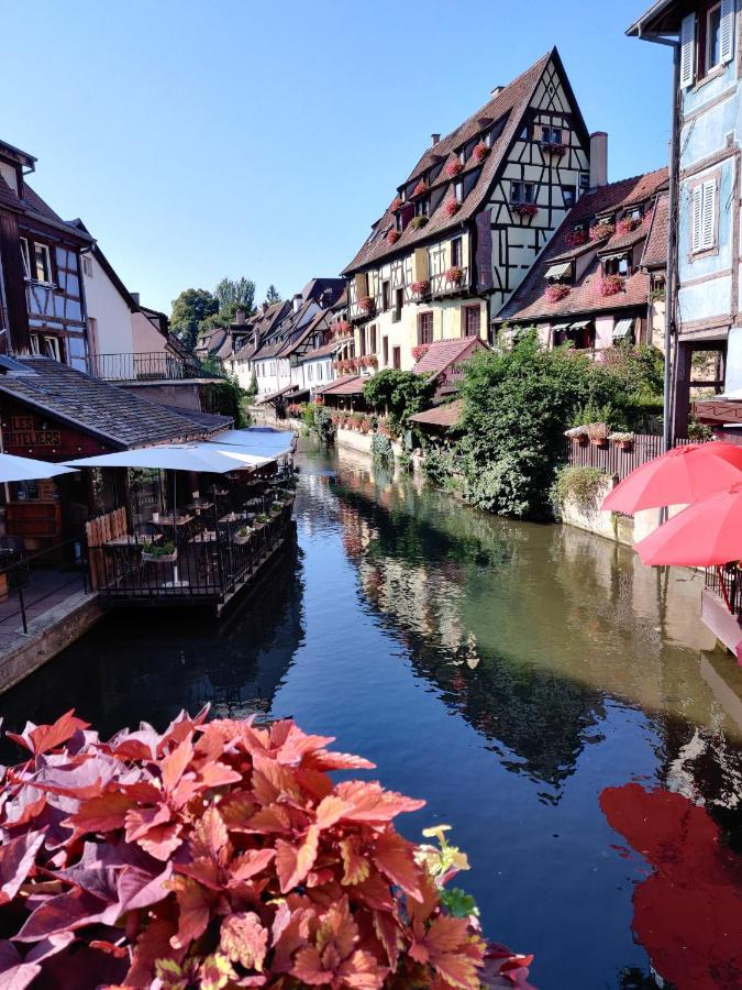 Au Kugelhopf Dore - Centre Historique Colmar Ngoại thất bức ảnh