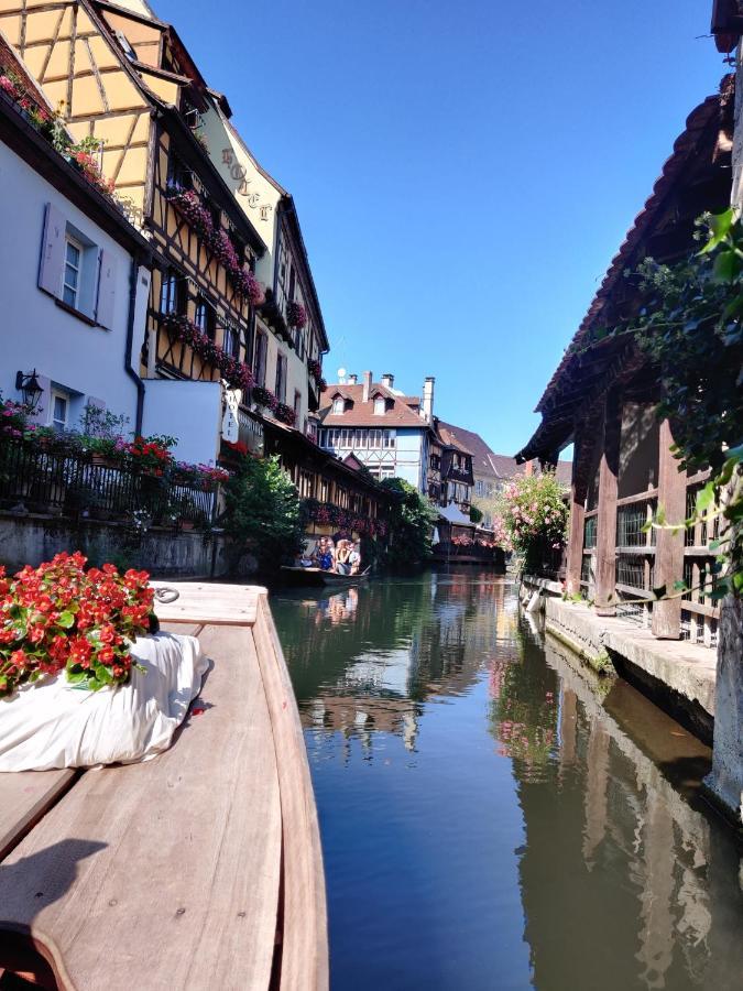 Au Kugelhopf Dore - Centre Historique Colmar Ngoại thất bức ảnh